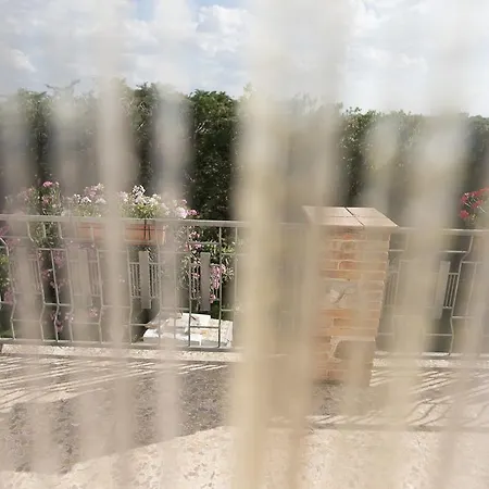 Il Delfino 皮斯蒂奇