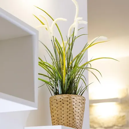 Дом отдыха Il Delfino *