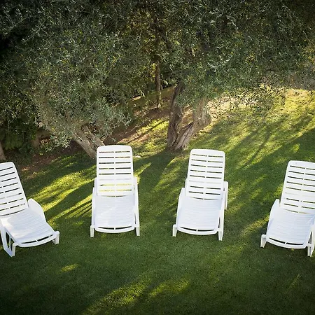 Дом отдыха Il Delfino