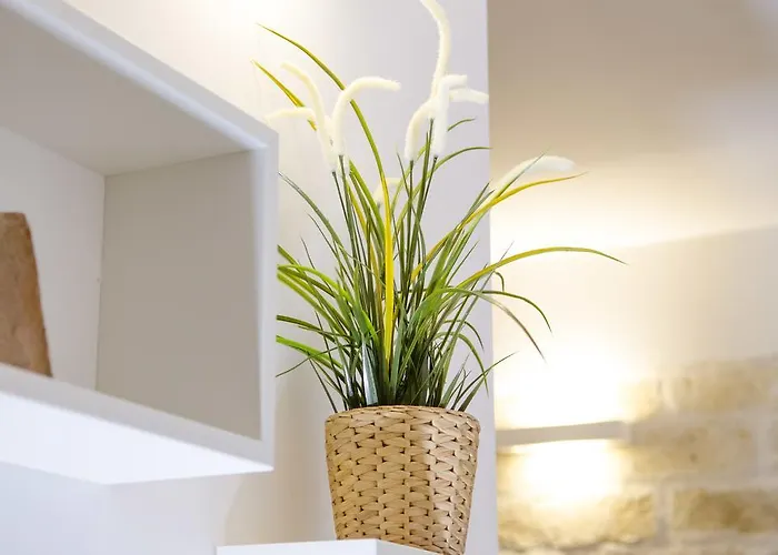 Dom wakacyjny Il Delfino *