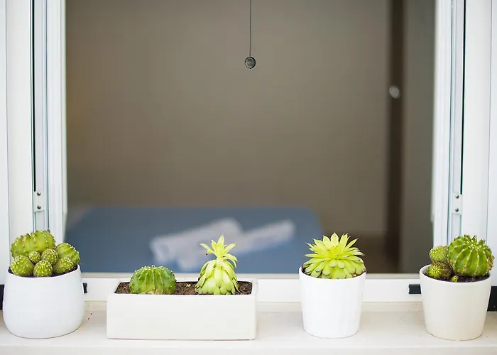 Il Delfino Casa vacanze