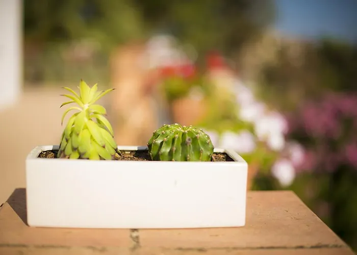 Il Delfino Casa vacanze